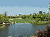 view from Belvedere Castle in Central Park