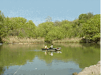 Row boat in Central Park