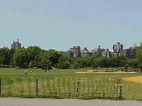 Central Park Baseball Field