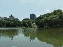 Harlem Meer