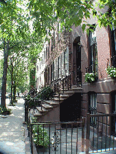 Tree-lined Street