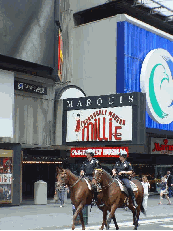 NYC Mounted Police