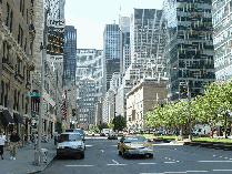 Park Avenue