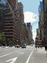 Fifth Avenue