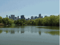 Central Park