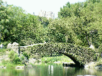 The Pond in Central Park