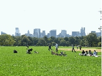 Great Lawn in Central Park