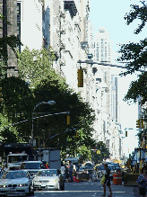 Fifth Avenue