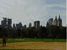 Great Lawn in Central Park