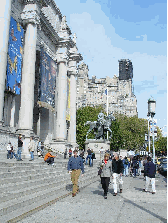 American Museum of Natural History