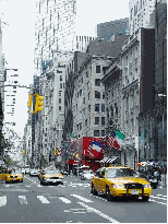 Fifth Avenue