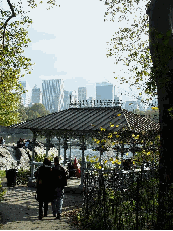 skyline view from a cabana in Central Park