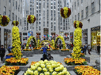 Fall decorations at Rockefeller Center Mall