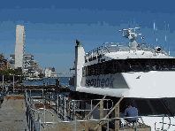 New York Waterway ferry