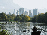 The Lake in Central Park