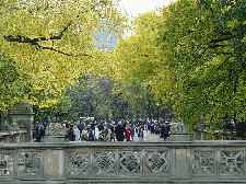 Central Park near Bethesda Fountain