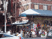 Canal Street and a typical storefront