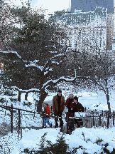 Central Park with snow on the ground.  In the distance you see the Plaza Hotel.