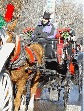 horse and carriage