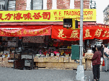 W. E. Trading on Hester Street in Chinatown