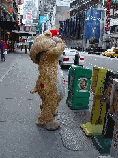 A bear on Broadway