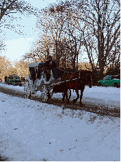 Central Park as a horse and carriage makes it's way towards Grand Army Plaza