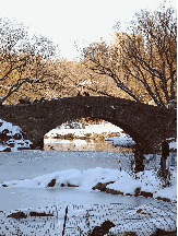 Central Park and the pond covered in snow