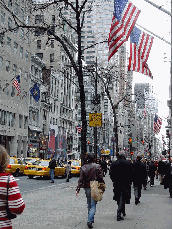 Fifth Avenue across from Sak's Fifth Avenue