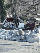 A horse and carriage making it's way past the snow banks at Bethesda Terrace