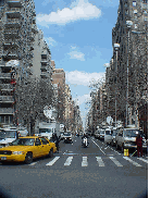 Fifth Avenue in front of the arches