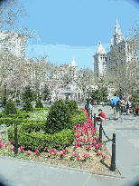 City Hall and the pretty spring flowers