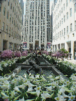 Channel Gardens in Rockefeller Center