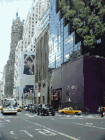 The trees are on Trump Tower. Sherry Netherland Hotel overlooks Central Park.