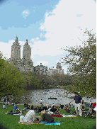 Central Park and the Lake