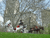 A horse and carriage making its way through Central Park on the East Side near Fifth Avenue