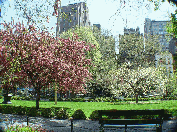 Gramercy Park which is located between 20th and 21st Street