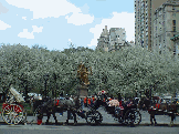 Grand Army Plaza as the horse and carriages line up for rides through Central Park