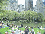 New Yorkers enjoying a spring day in Central Park.  In the distance you see the Plaza Hotel