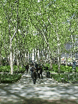 Bryant Park