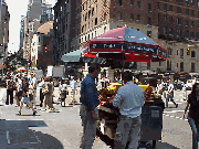 Hot dog vendors are as much a part of the New York City lifestyle as taxicabs