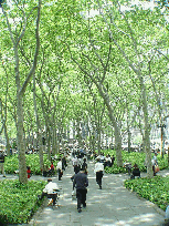 Bryant Park