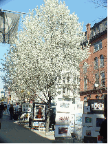 West Broadway and artwork being sold on the sidewalk