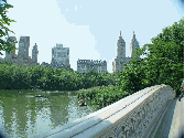 Bow Bridge in Central Park