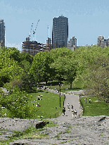 Central Park Trump International Hotel and Tower