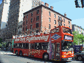 New York Sightseeing tour bus