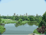 Central Park and the Turtle Pond