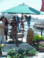 Exotic birds on display at South Street Seaport