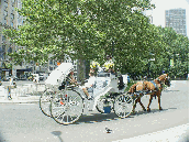 A horse and carriage