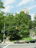 City College in Harlem