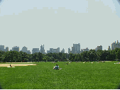 Great Lawn in Central Park